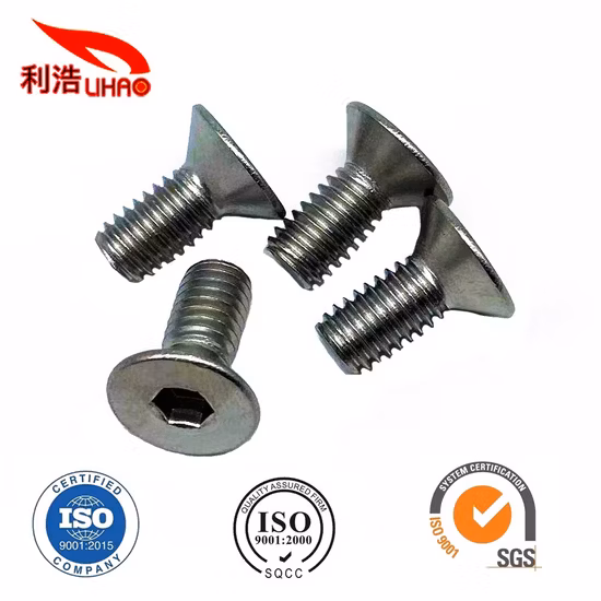 M6*14 스테인레스 스틸 육각형 소켓 접시 머리 나사